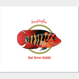 Red Terror Cichlid Posters and Art